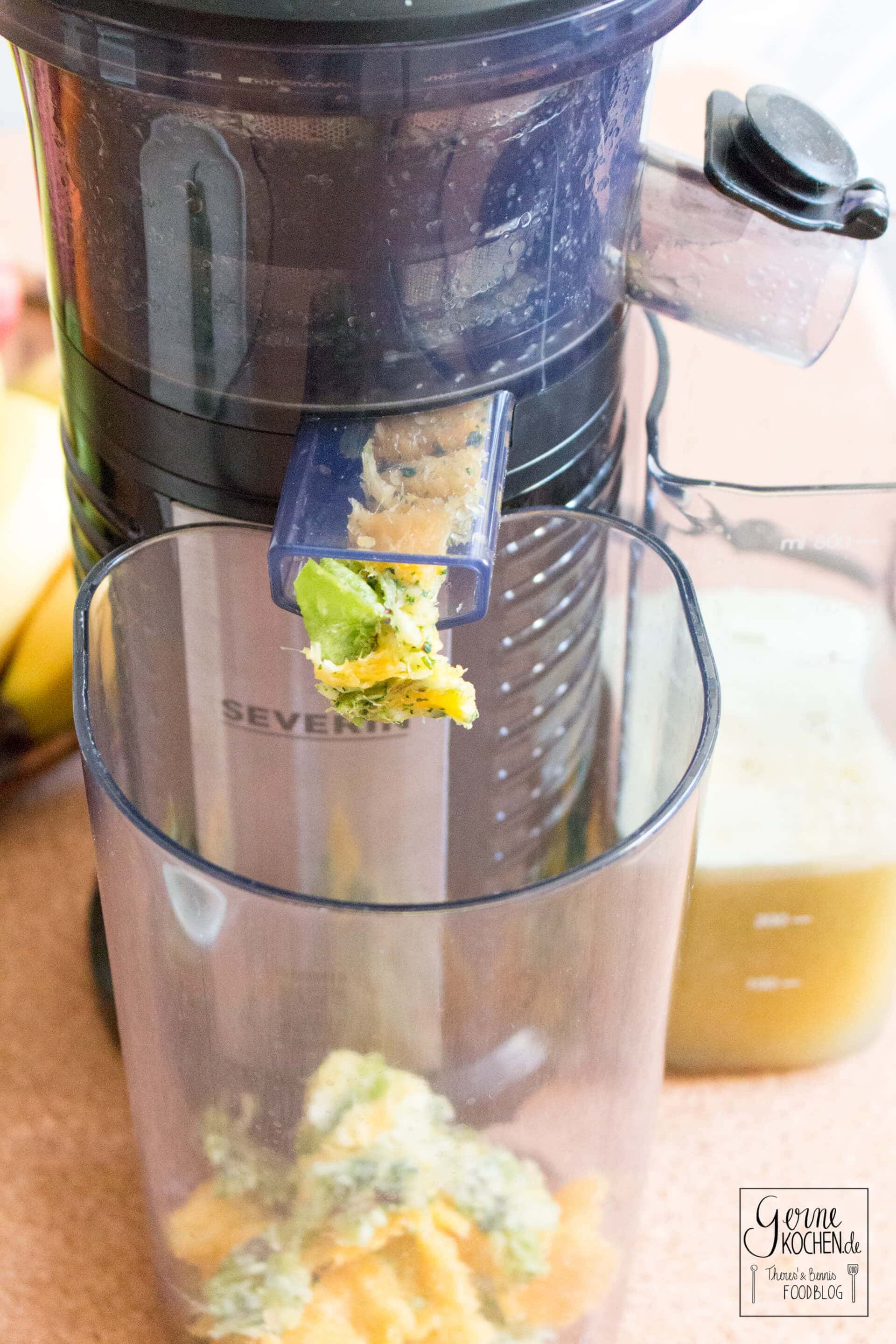 Slow Juicer