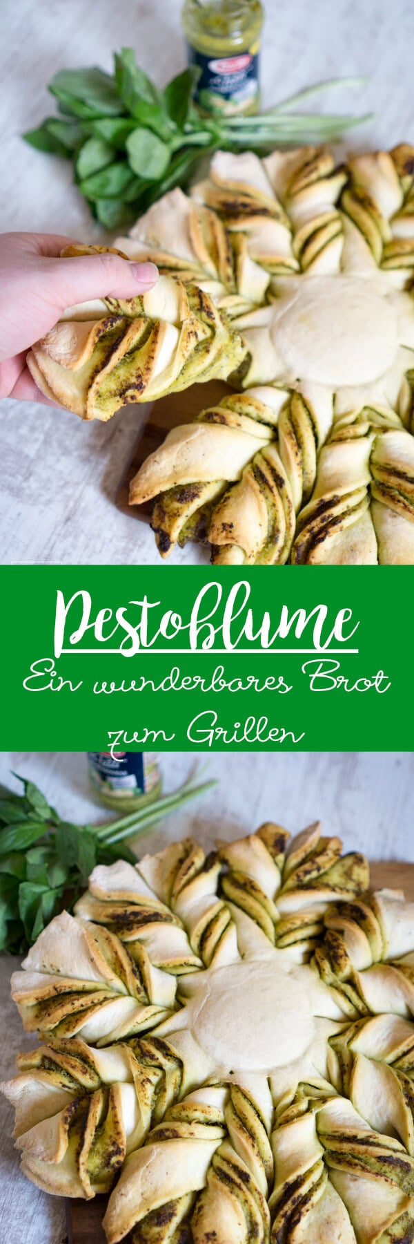 Pestoblume