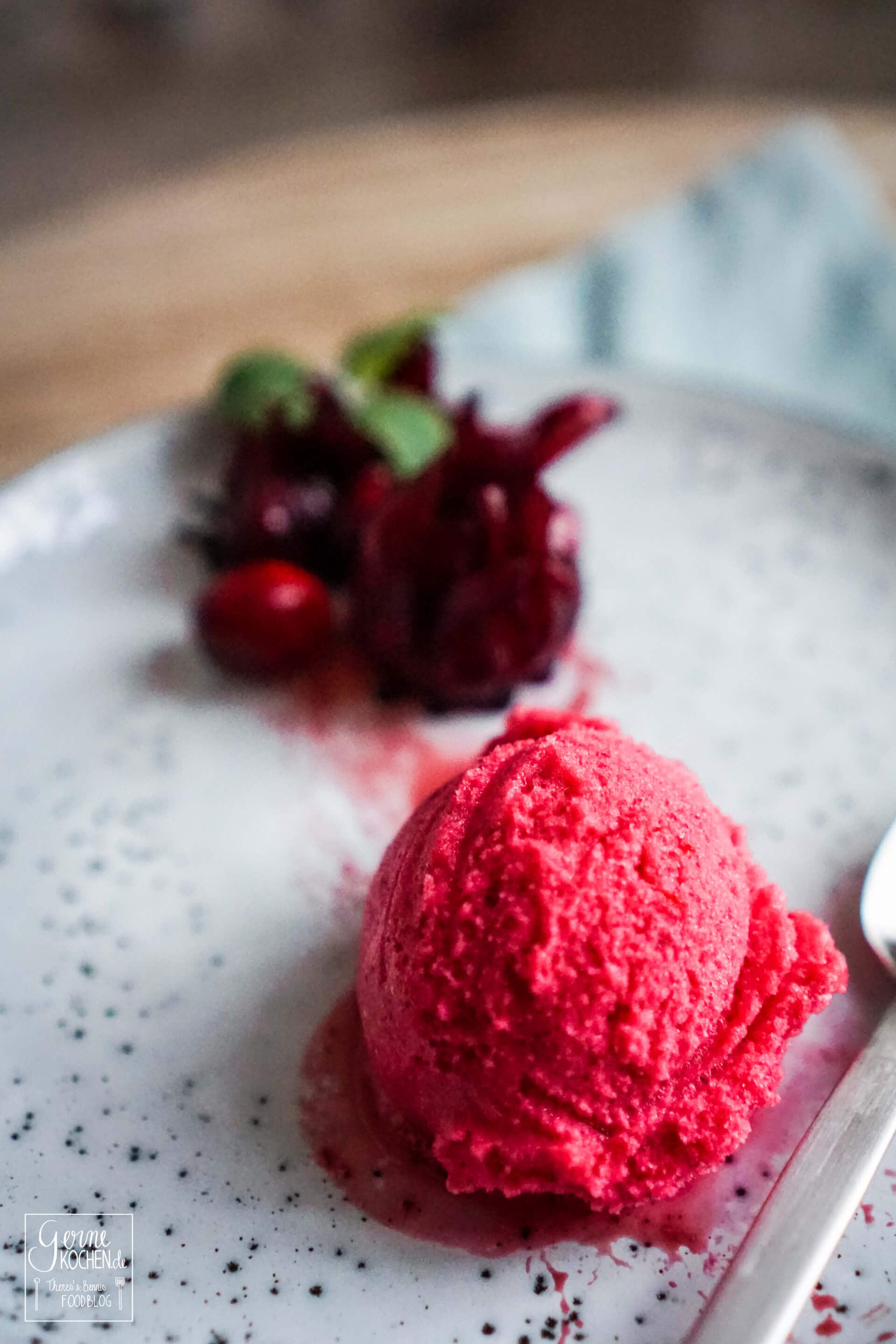 hibiskus-cranberry-sorbet