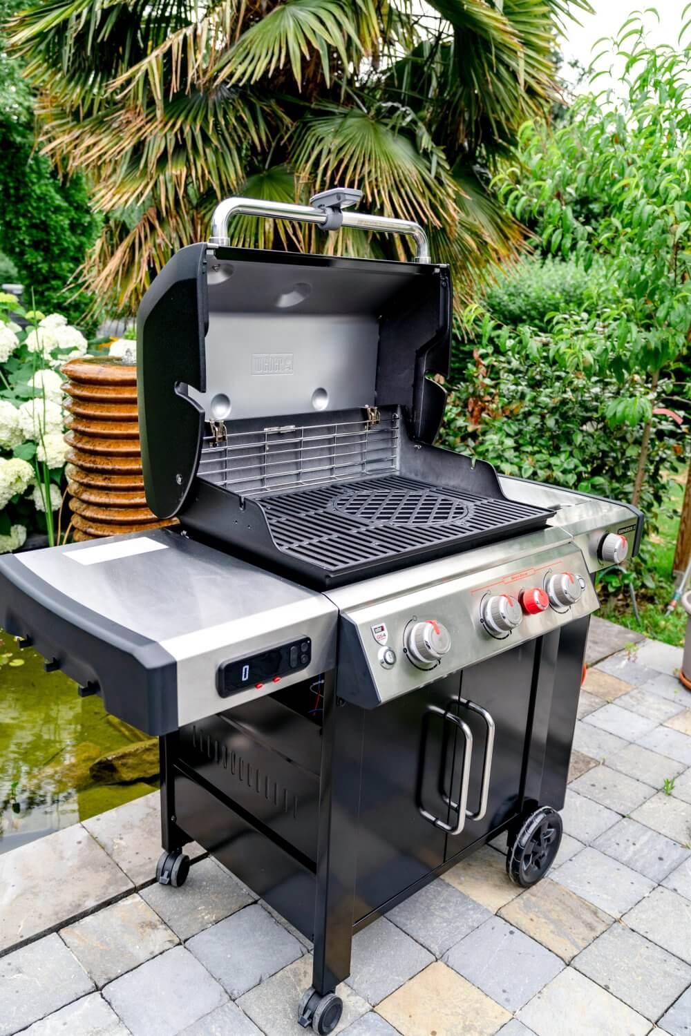 Wir haben den Genesis II als grill.
