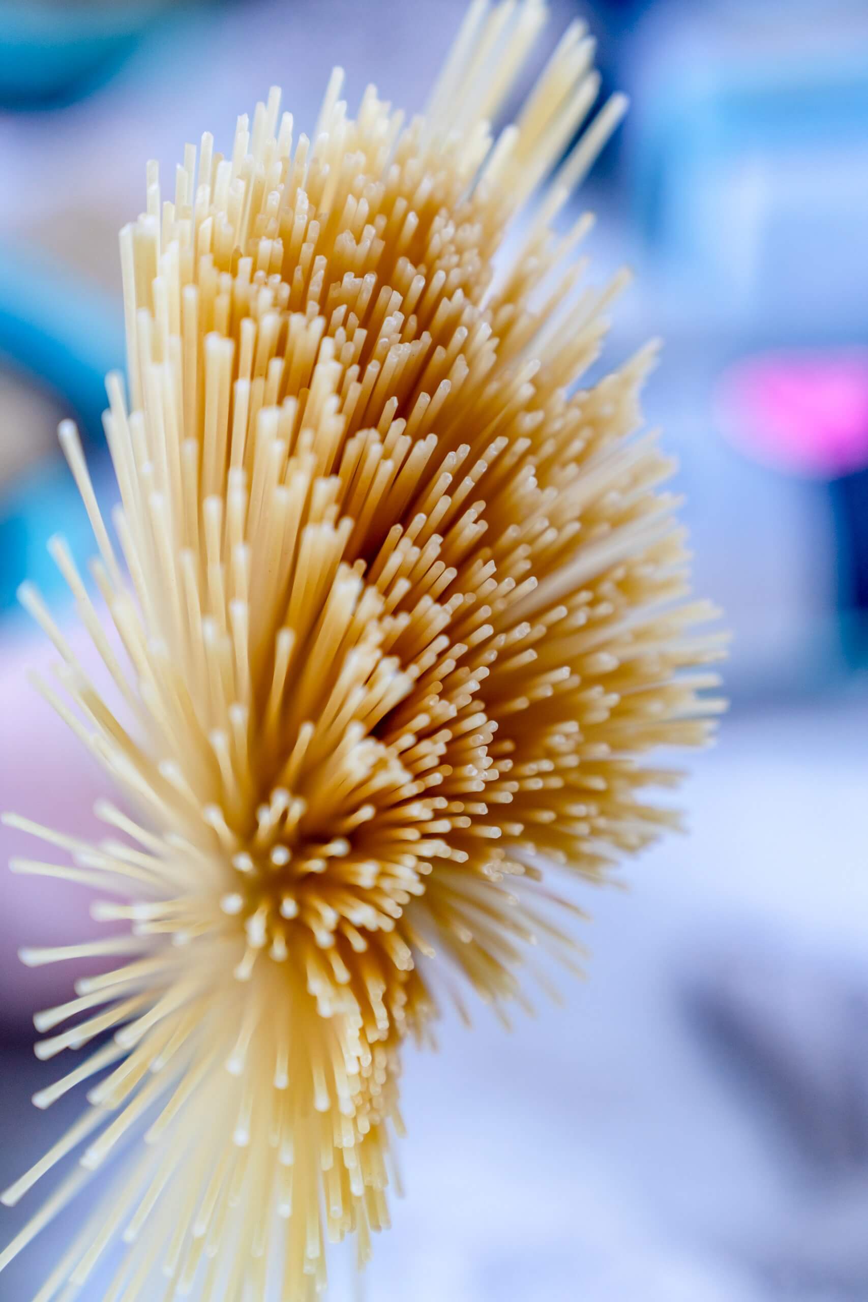 Wir haben für unsere vegetarische Carnbonara Spaghettini verwendet.