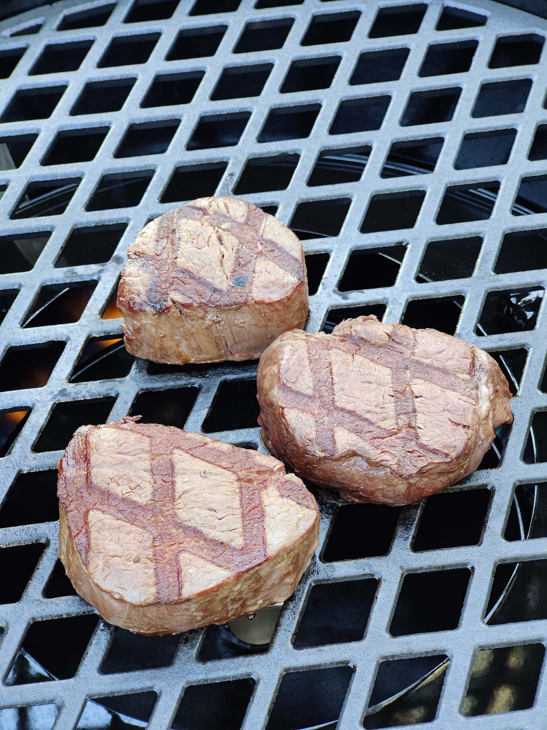 OUTDOORFCHEF DAVOS 570 G