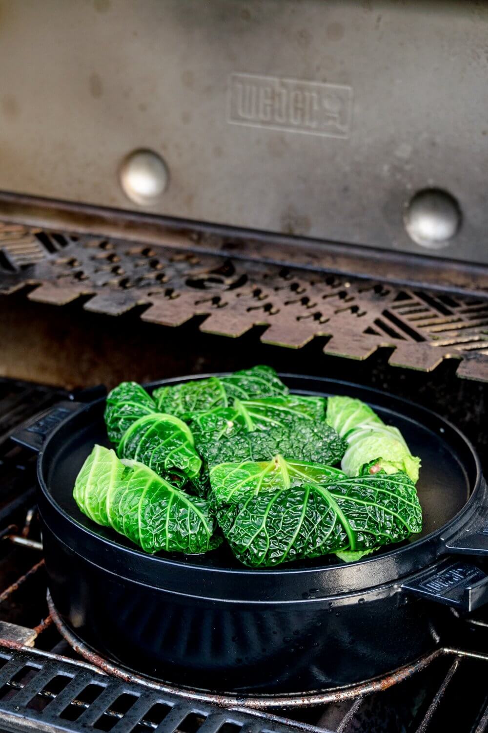 Heute kommen unsere Wirsingrouladen mal aus dem Dutch Oven.