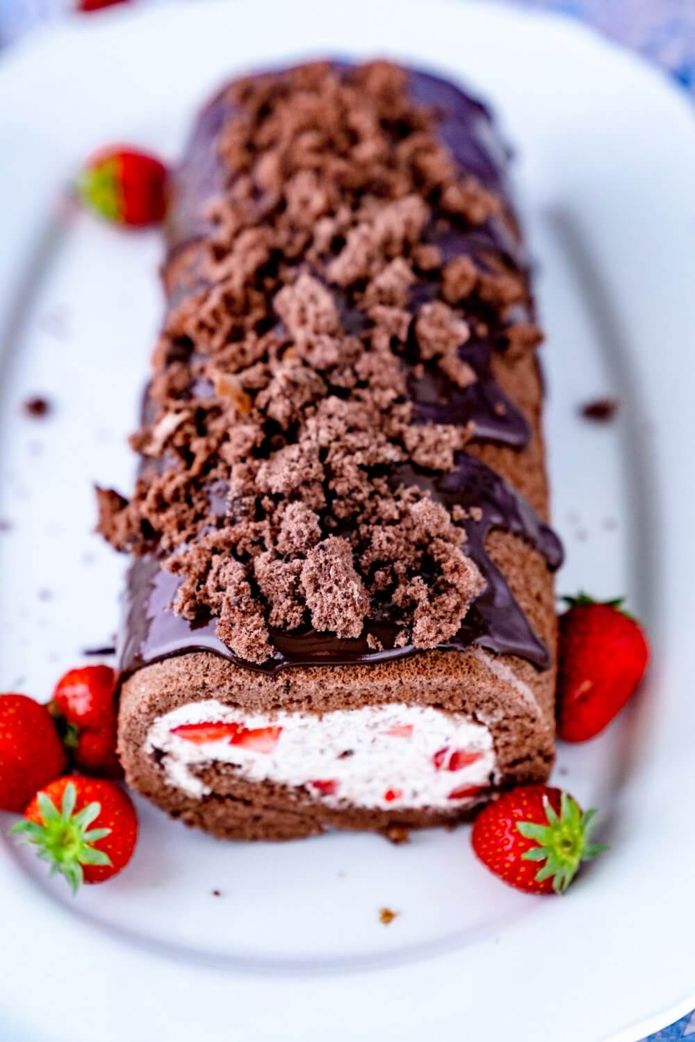 Lecker schokoladig und fruchtig, so soll eine Maulwurfkuchen Biskuitrolle sein.