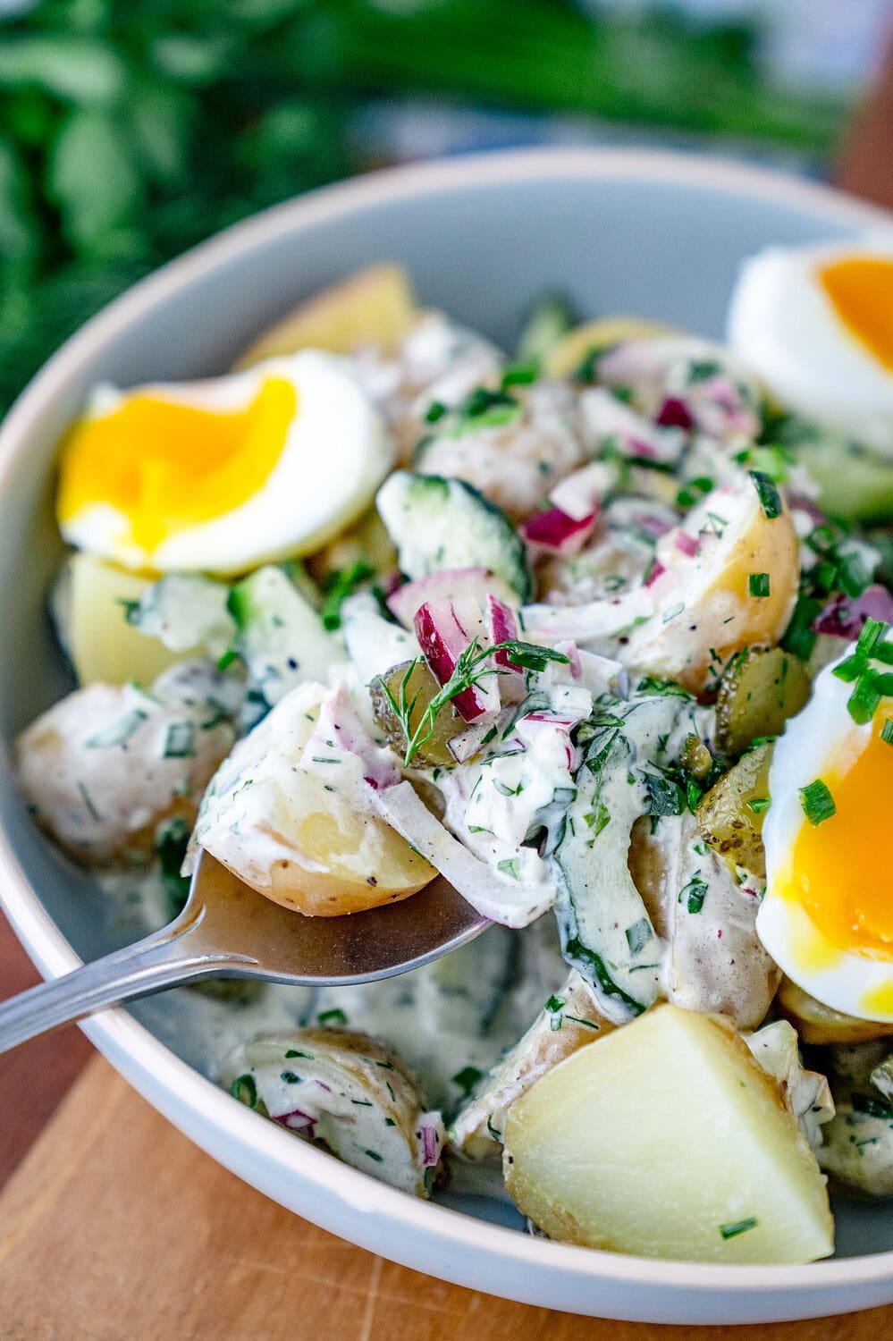 Norddeutscher Kartoffelsalat